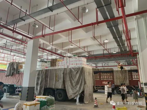 風雨同舟,共抗疫情 三科農商城為重慶抗疫助力，與大家共渡難關